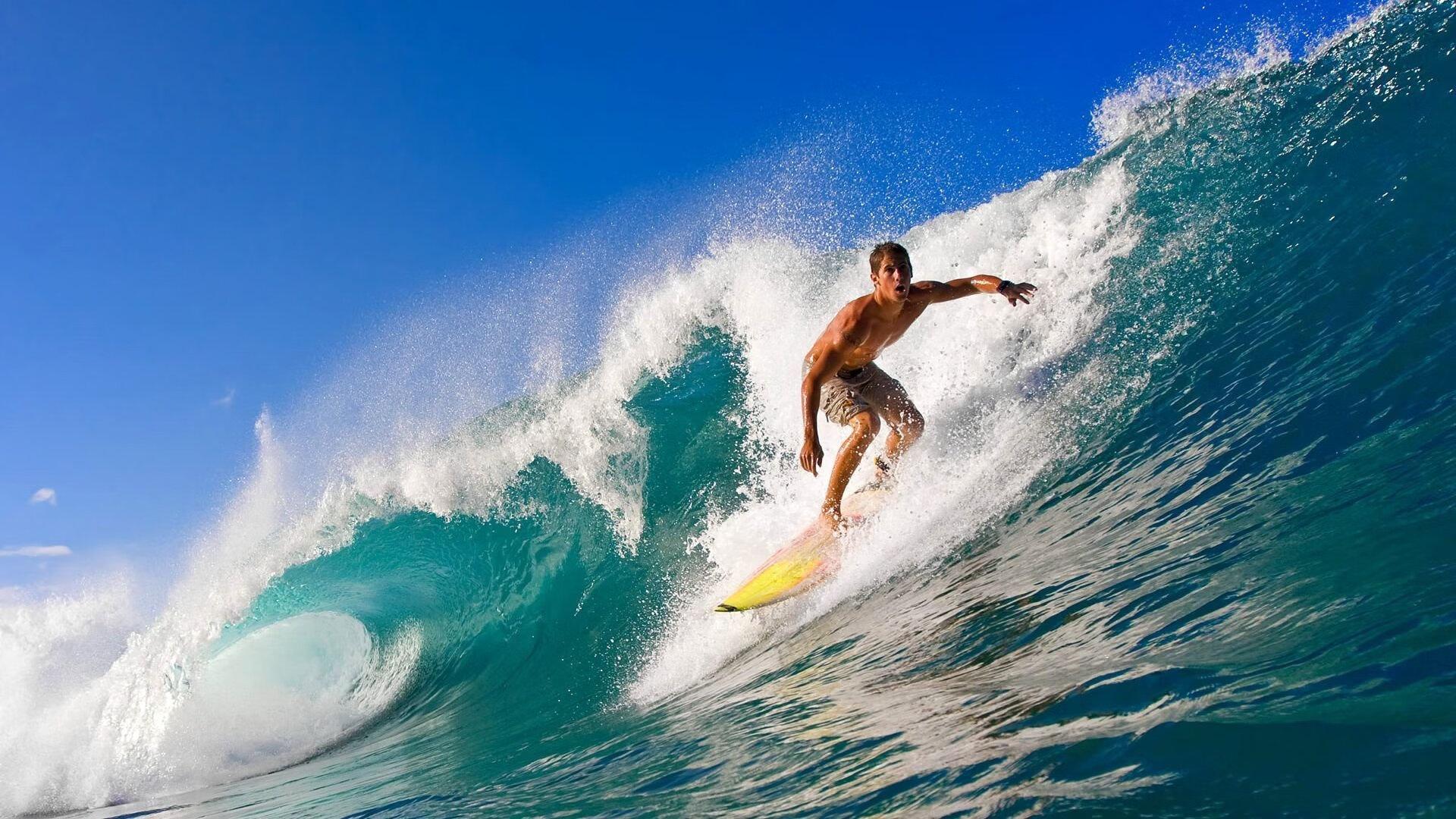 球迷文化塑造赛场灵魂，从助威到传承的体育精神盛宴