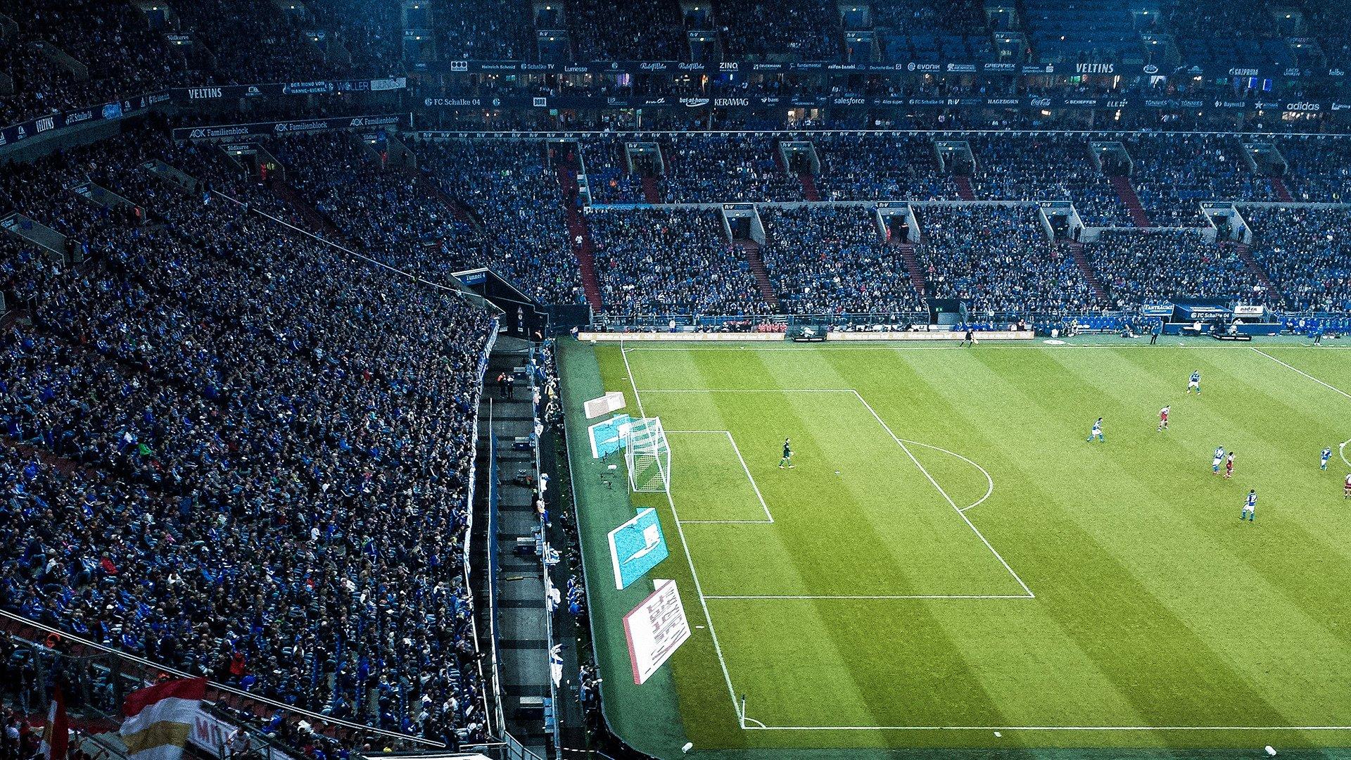 中国跳水队再创辉煌，包揽世锦赛全部金牌